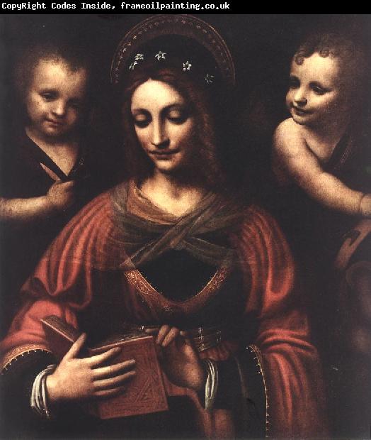 LUINI, Bernardino Saint Catherine a